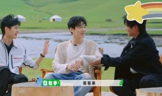 魏大勋画了大勋花 魏大勋画了大勋花