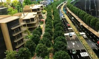 梦幻百花洲游玩攻略